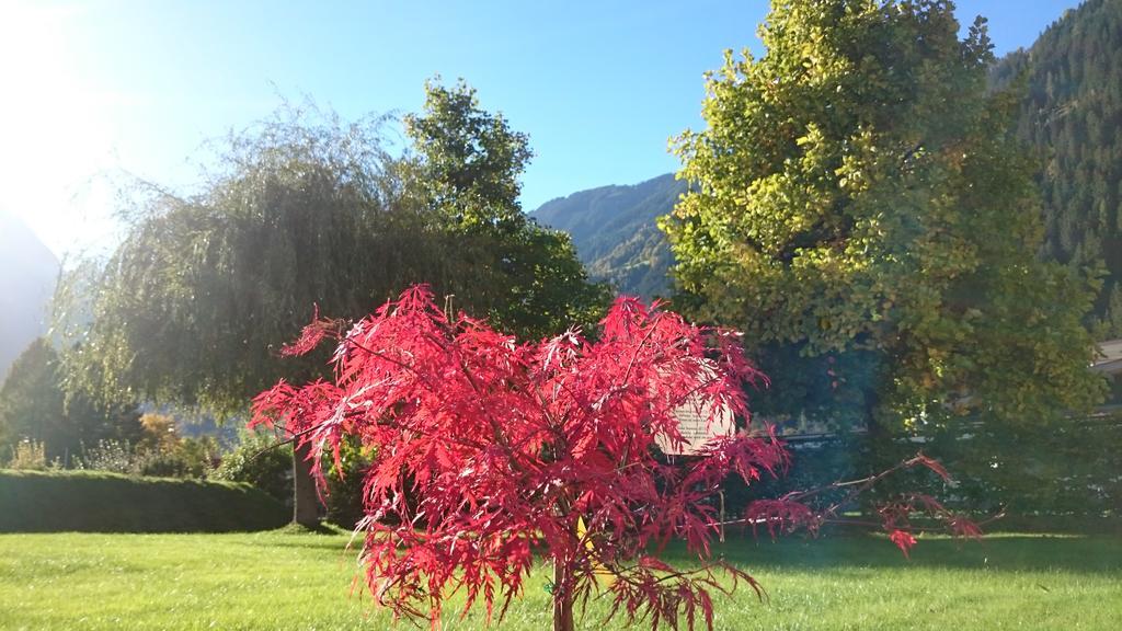 Villa Amsel Mayrhofen Exteriör bild